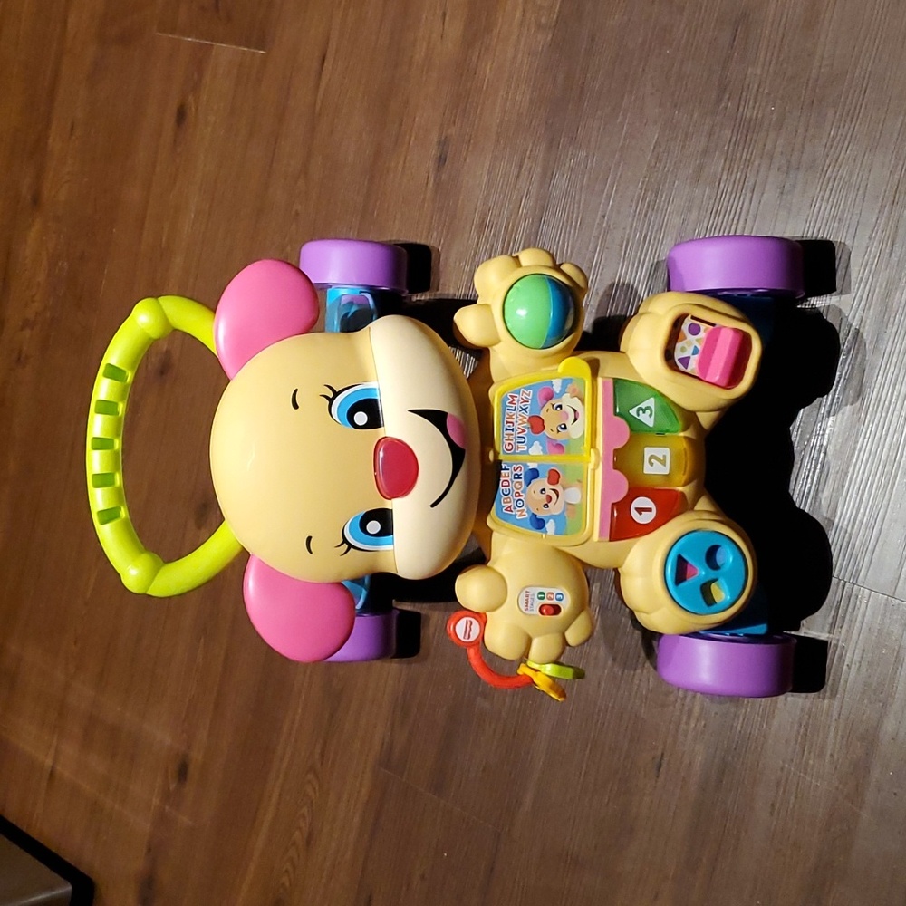 Fisher Price Walking Friend Learn with Sis Walker